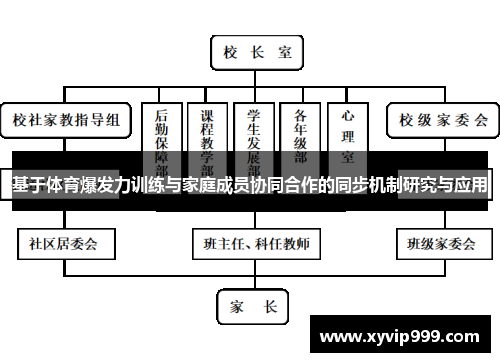 基于体育爆发力训练与家庭成员协同合作的同步机制研究与应用