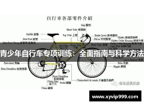 青少年自行车专项训练：全面指南与科学方法