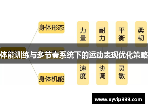 体能训练与多节奏系统下的运动表现优化策略