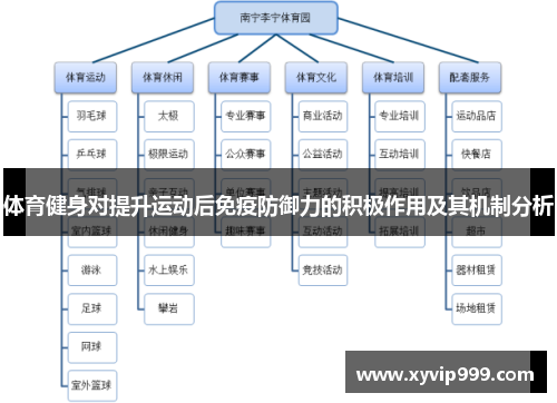 体育健身对提升运动后免疫防御力的积极作用及其机制分析