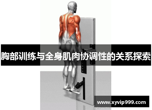 胸部训练与全身肌肉协调性的关系探索